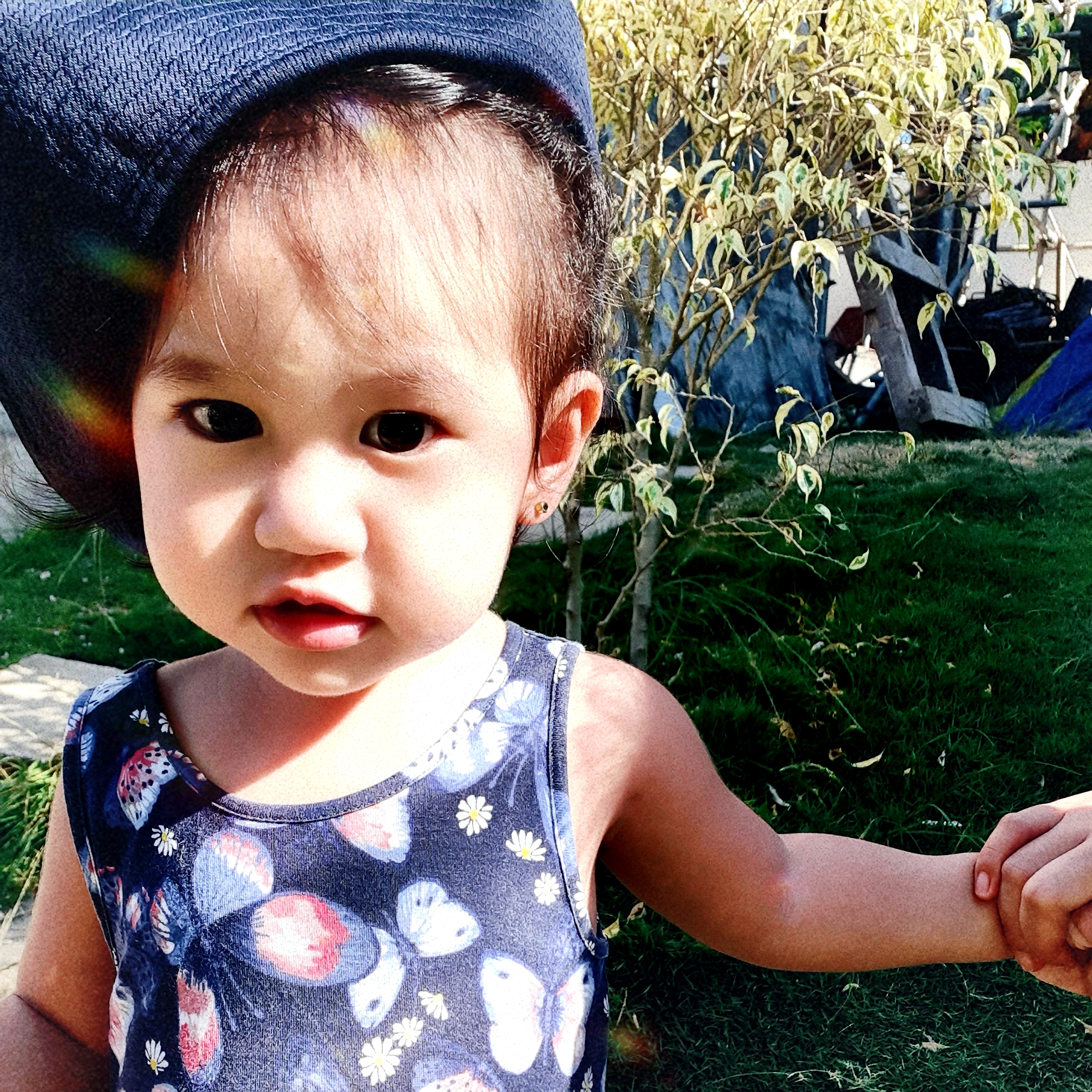 Fizzles - single artwork for II - single release 2021